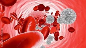 Animation of Leukocyte cells flowing in the bloodstream with Erythrocytes.