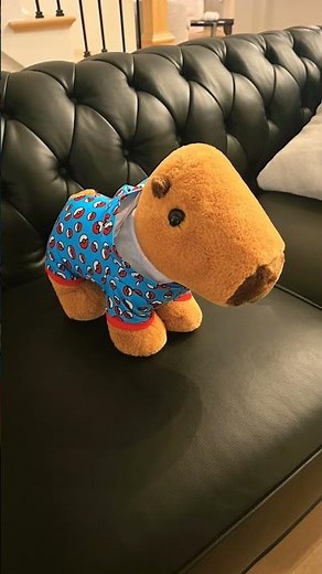 my build a bear capybara