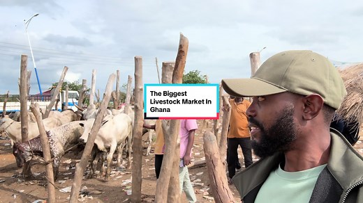 Exploring Ghana's Largest Livestock Market | Farm Animals, Animals, Nature