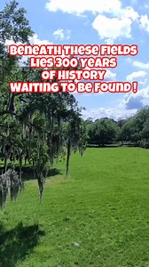 Looking for history with our metal detector in this field that could be close to 300 years old #metaldetecting #detecting #savinghistory #relichunting | Southern Relic Adventures