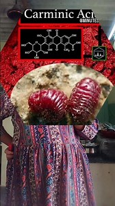 🤣🤣🤣🤣🤣🤣