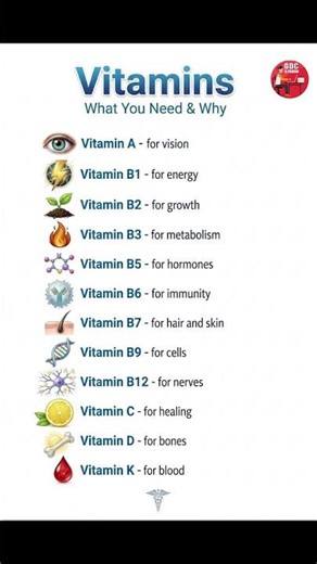 Vitamins and Their Functions | Vitamin A to K Benefits Explained