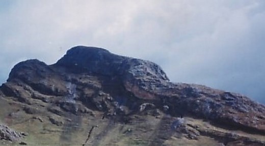 Petrified titans, giants and huge ancient trees - Auricmedia - Blogman's Wonderland