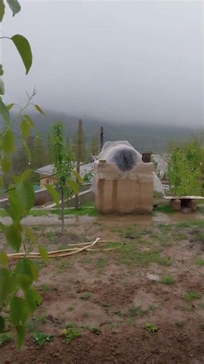 #qishloq_hayoti #yutubeshorts #shorts #uzbekistan #love #trend #travel #reels #rek #tiktok