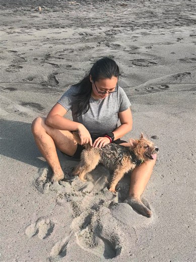 A Dog's Love: Pure Companionship and Joy