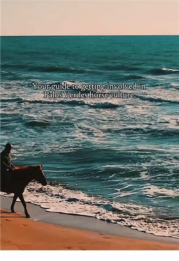 From beginner rides to seasoned trails, discover Palos Verdes’ rich horse culture and how to get involved! 🌿🐎 #PVHorseCulture #SouthBayLiving #PV