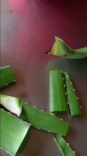 Aloe vera Can Heal Burns Faster