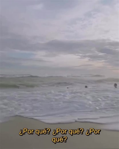 KOLAPSE on Instagram: "From Japón to Silent Light, Carlos Reygadas has developed a singular cinematic language where philosophy and practice converge. His method, described as active visualization and responsive filming, allows each scene to unfold according to the rhythm of reality itself. By privileging duration, landscape, and non-professional actors, his films become acts of encounter rather than narration. Cinema, in this vision, is not about control, but about attention, ethics, and openne