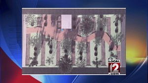 Empty Walnut Hills lot to become community orchard