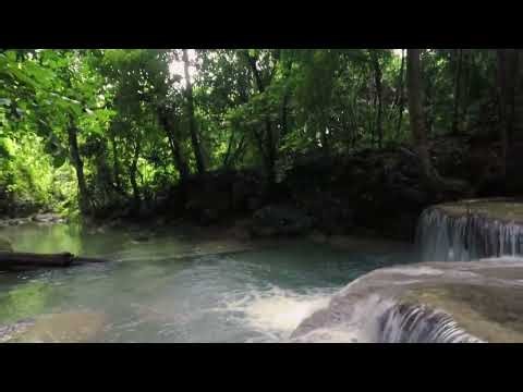 Kids General Knowledge Video.This video is specially made for kids to learn simple and interesting