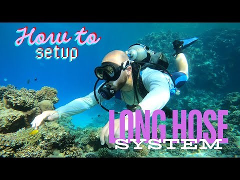 Scuba Diving DIR: How to Setup a Long Hose Regulator System on a Single Cylinder | #scuba #regulator
