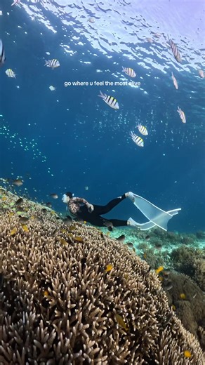 The Freedom of Freediving in Ocean Waters
