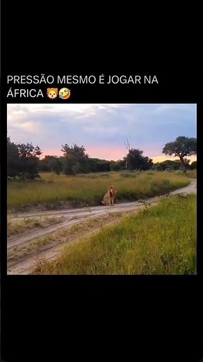 PARTIDA TENSA #memes #humor