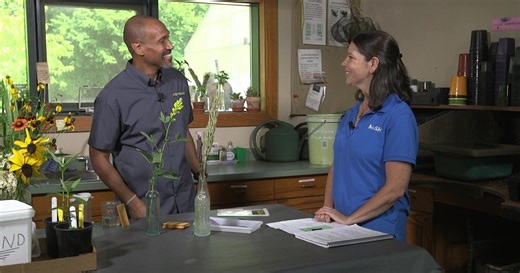 The Family Plot:Propagating Carolina Bushpea & Compost Season 14 Episode 16