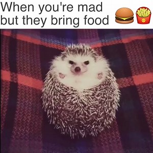 5.5M views · 61K shares | Food = forgiveness | VT | Facebook