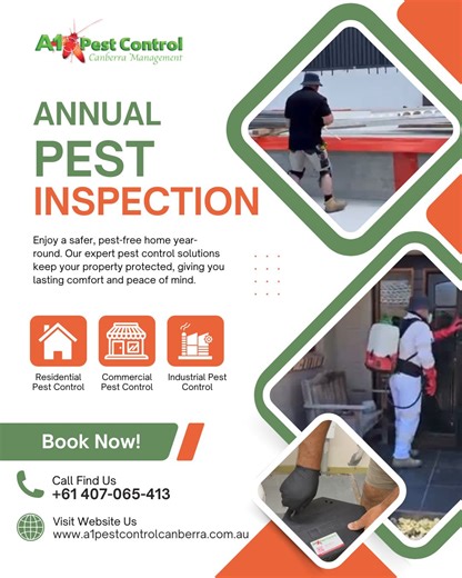 𝐏𝐫𝐨𝐭𝐞𝐜𝐭 𝐘𝐨𝐮𝐫 𝐇𝐨𝐦𝐞 𝐁𝐞𝐟𝐨𝐫𝐞 𝐏𝐞𝐬𝐭𝐬 𝐃𝐚𝐦𝐚𝐠𝐞 𝐈𝐭 Worried pests are lowering your property value? Whether it’s termites, birds, or spiders, prevention is always cheaper than repairs. 💡 Tip: Annual inspections can save you thousands in future costs and protect your biggest investment. 𝐁𝐨𝐨𝐤 𝐲𝐨𝐮𝐫 𝐢𝐧𝐬𝐩𝐞𝐜𝐭𝐢𝐨𝐧 𝐭𝐨𝐝𝐚𝐲 𝐰𝐢𝐭𝐡 𝐂𝐚𝐧𝐛𝐞𝐫𝐫𝐚’𝐬 𝐭𝐫𝐮𝐬𝐭𝐞𝐝 𝐞𝐱𝐩𝐞𝐫𝐭𝐬 — 𝐀𝟏 𝐏𝐞𝐬𝐭 𝐂𝐨𝐧𝐭𝐫𝐨𝐥 𝐂𝐚𝐧𝐛𝐞𝐫𝐫𝐚. 📞 Call 𝟎𝟒𝟎𝟕 𝟎𝟔𝟓 𝟒𝟏𝟑 
