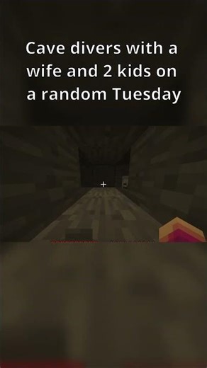 NO ONE asked them to do this 😭😭 #foryou #entertainment #funny #fyp #shorts #shortsfeed #minecraft