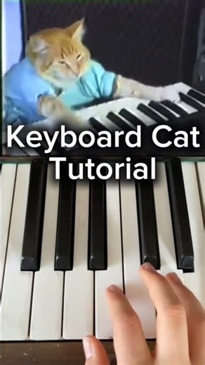 Keyboard Cat Tutorial #piano #music #entertainment #pianocover #pianotutorial #tutorial #keyboardcat