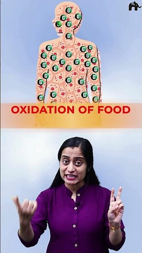 Breathing and Exchange of Gases Class 11 Biology One shot with Roshni Mam #concepthogacrystalclear