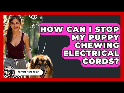 How Can I Stop My Puppy Chewing Electrical Cords? - Obedient Dog Guide