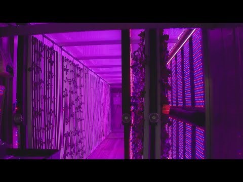 ComEd gives glimpse into shipping container pods aimed at improving urban farming