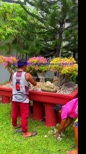 1.1K reactions · 73 shares | ganda ng ginawa nyo #view #flowers #beautifuldestinations #justforfun #happylife | Miles Bougainvillea Gensan | Facebook