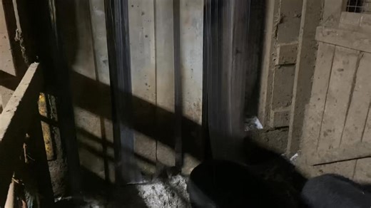 Hardly a bright video, but my last big project tonight before I start rewiring broken heat lamps. With a massive polar vortex freezing us up this weekend, it is time to replace the freezer door strips that keep the wind and cold out of the barn while letting the pigs come in or out as they like. As you can see, the older strips on the front are either torn off or missing altogether. Have I mentioned how destructive pigs are? I think I hung these strips up two or three years ago, so they have ser