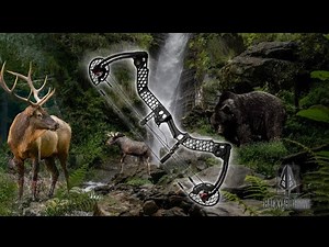 Backyad Bows Mathews Safari Review