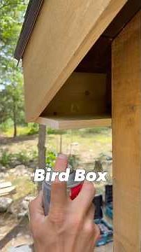 How to Build a Bird Box for a Roof Return #diy #tools #construction