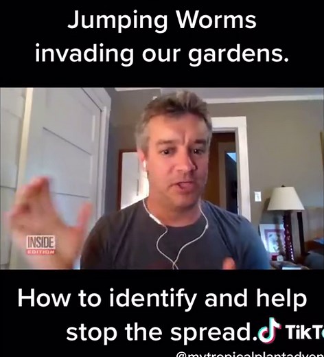 Cómo Identificar y Detener los Tuntuosos de Jardín