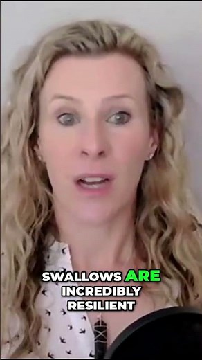 Tiny Birds, HUGE Journeys - Incredible Migration Secrets! #barnswallow #birdmigration #birds #shaman