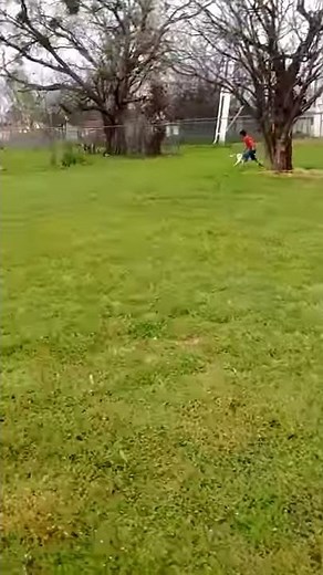 Kids pants fall down ( funny )