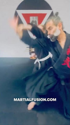 Aikido Martial Fusion Katatedori Iriminage