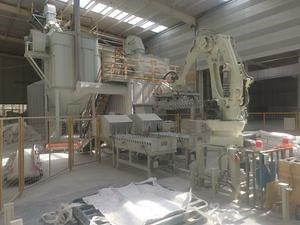 Automatic Carton Box Bag Robotic Palletizer Packaging Machine