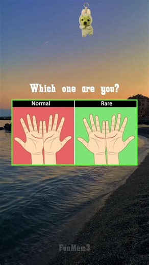 check your hands 🧐 #memes #funny #shorts #usa