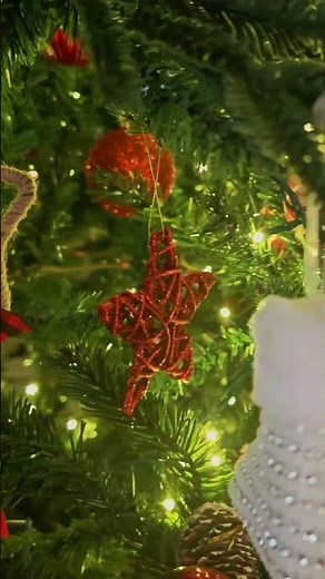 #Christmas Canon# Trans-Siberian Orchestra #Thornhill#Toronto#Canada#聖誕樹#多倫多＃加拿大#管絃樂＃Dec 14 2025 -6C