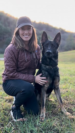Quest and I had a busy weekend! We went down to Asheville and earned our IGP1 as well as our BT. It was a super well hosted event and I had a blast watching this guy start his dog sport journey. There is a lot still to learn and work on but proud of him for how he held it together. Enjoy some obedience highlights! 😎 | DLS Dog Training Academy