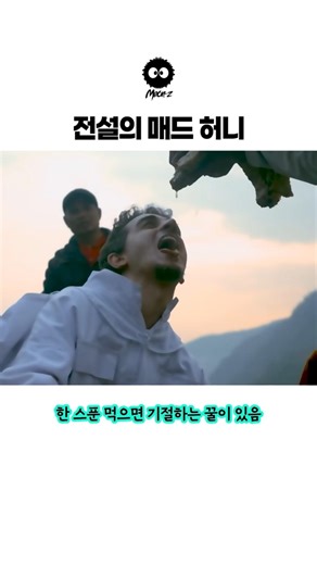 전설의 매드 허니