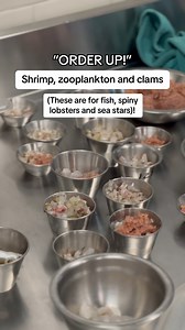 1.2K views · 36 reactions | While there's no Bears at the Aquarium,...