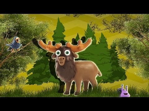 Talking ABC. Teach The Alphabet with Talking ZOO ABC. learn letters and Words. Talking ABC Alphabet