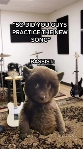 🐻...? 🎸 #guitar #bassguitar #bassplayer #guitarist #memes
