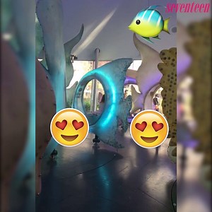 524K views · 3K reactions | Imagine all the Instagrams you can take...