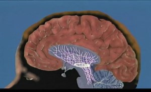 Sorry, we have encountered a problem. - Alexander Street, a ProQuest Company