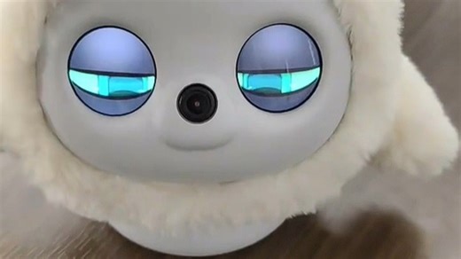 AI黑科技加持，Ropet宠物机器人重塑养宠新体验（11338）