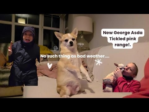 Dog poo fairy attire.....and new underwear from Asda George Tickled Pink x