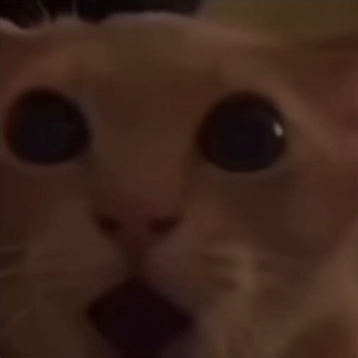 Inazuma Eleven GO: Anime References Explored