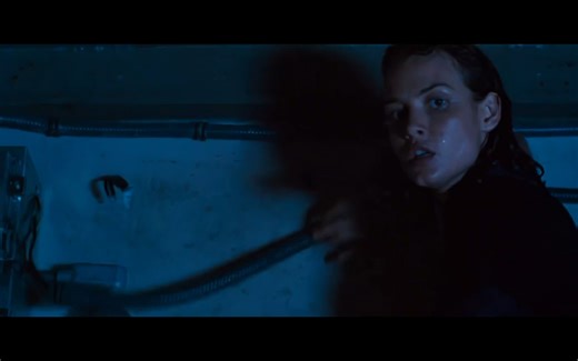 深海狂鲨1-女博士寬衣大戰鯊魚片段 Saffron Burrows - Under Skirt ( Deep Blue Sea )