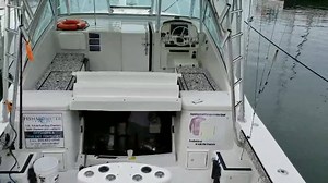 6.4K views · 61 reactions | THE HEAD HONCHO....... | FishMonster Key West | Facebook