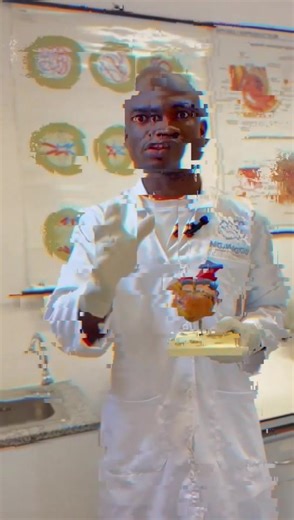 Afinal temos cientista em Angola, e ele quer CORRIGIR muita coisa no Fly Podcast 😱 Chama-se Lukanu Filipe, é mestre em biologia molecular e celular 🔥 Sexta-feira às 19h | Fly Skuad