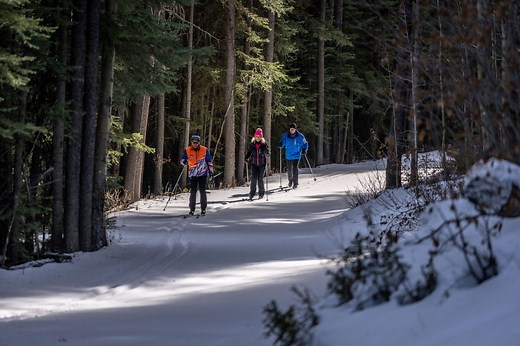 Cross-Country Ski Trails for Beginners | Canmore Kananaskis